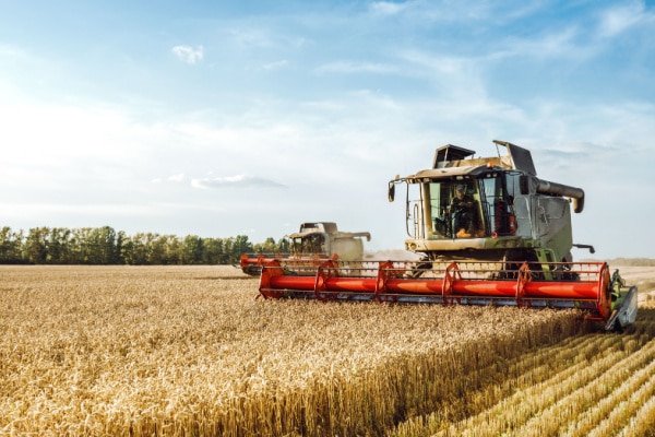 Vente d’entreprise agricole : le statut, ça compte !